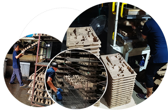 強勁企業實力，設備創新自主研發